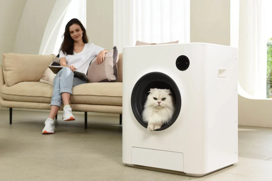 no scoop litter box